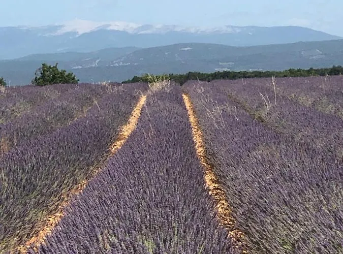 Provence Luberon Bonnieux Location Gite Chez Basile