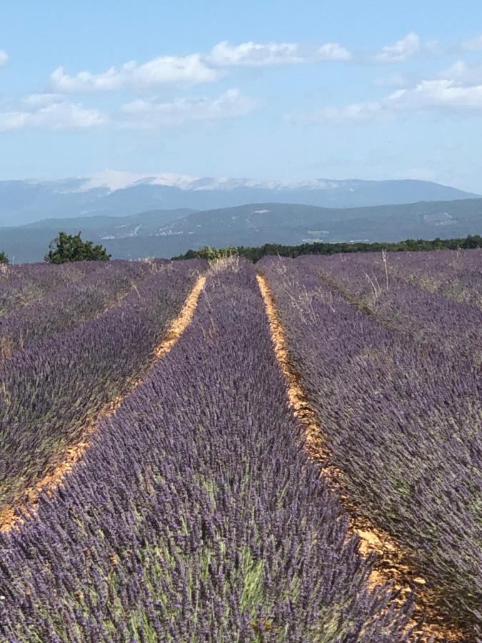 Provence Luberon Location Chez Basile *